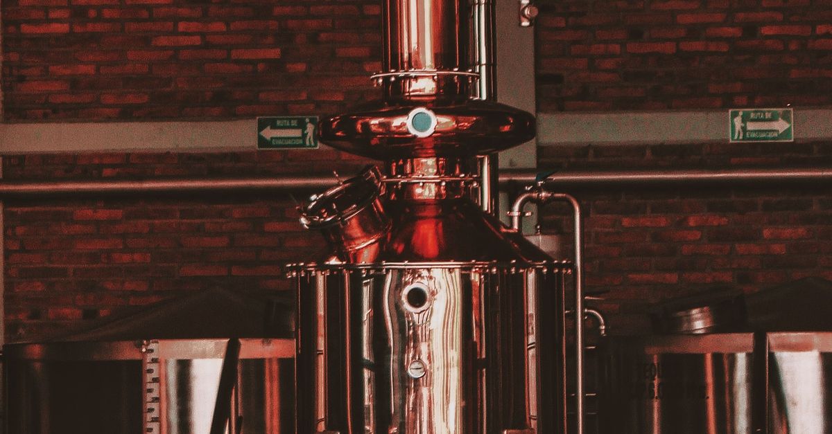 What trends are driving bio-manufacturing and fermentation-based production? What trends are driving bio-manufacturing and fermentation-based production?