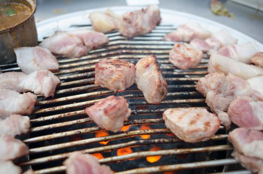Delicious cuts of meat sizzling over hot charcoal on a barbecue grill, perfect for outdoor cooking.