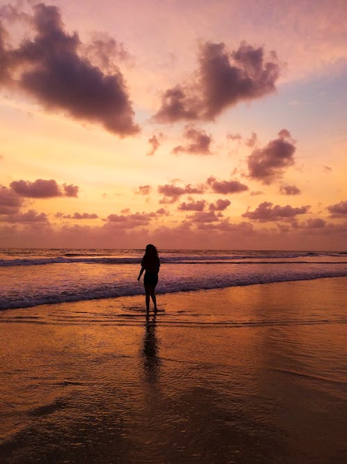 คลังภาพถ่ายฟรี ของ ช่วงแสงสีทอง, ชายหาด, ซิลูเอตต์