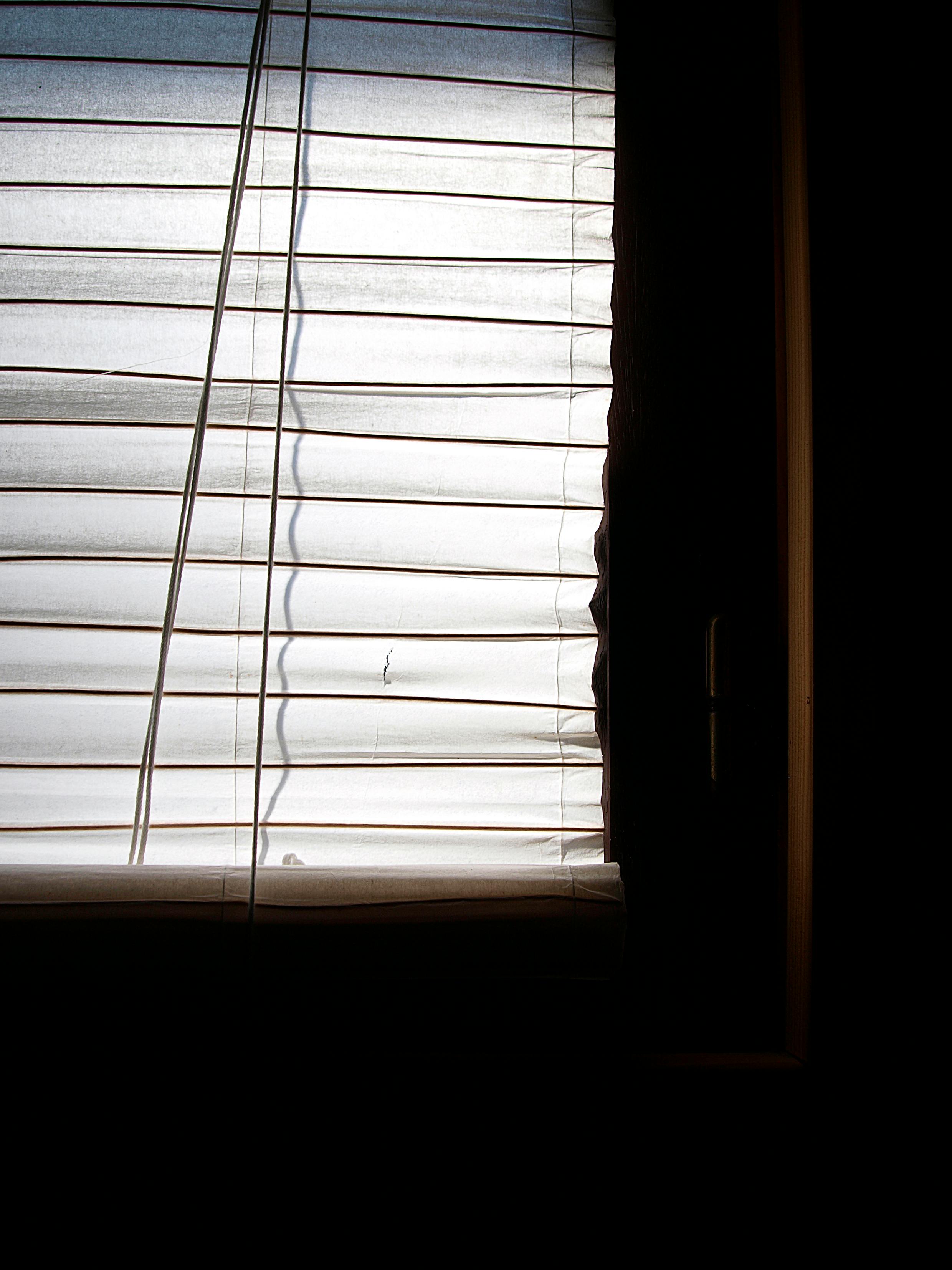 Free stock photo of curtain, window