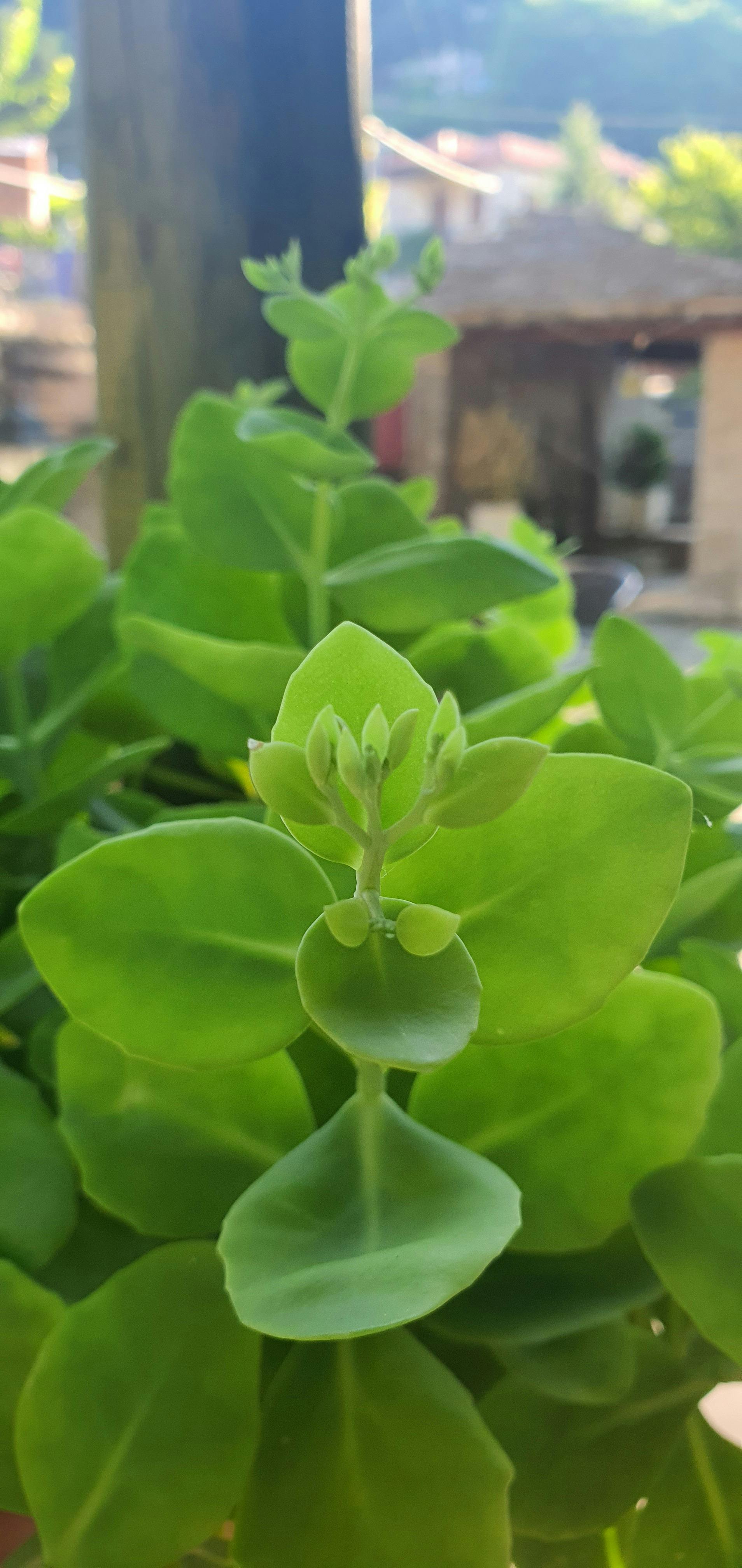 메타버스, 미래 광고의 새로운 지평