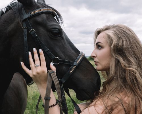 Free A woman gently caresses a black horse outdoors, showcasing a strong human-animal bond. Stock Photo
