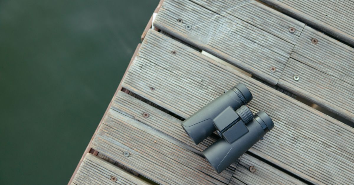Understanding the Basics of Birdwatching