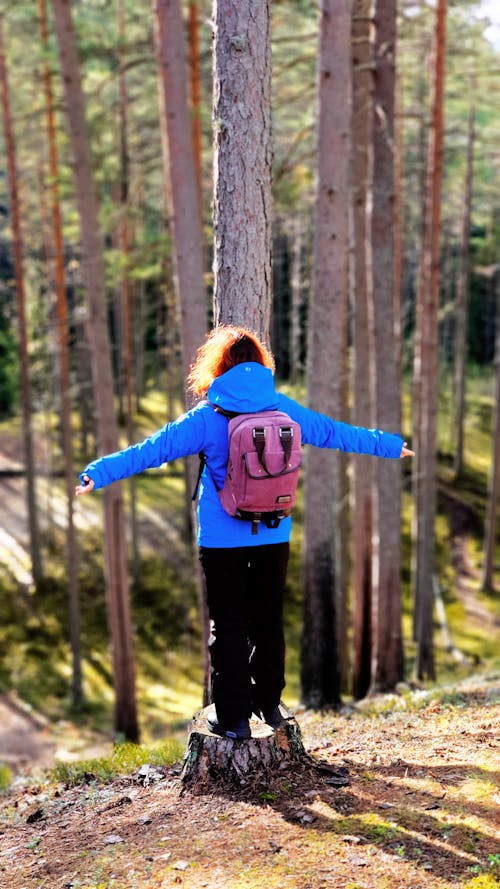 Person in Blue Jacket and Black Pants Standing on a Cut Tree Log 