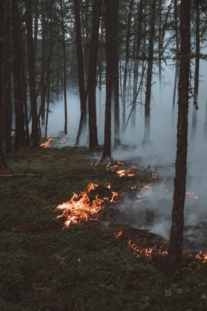 Dramatische bosbrand met vlammen en rook in de regio Jakutsk, Rusland.
