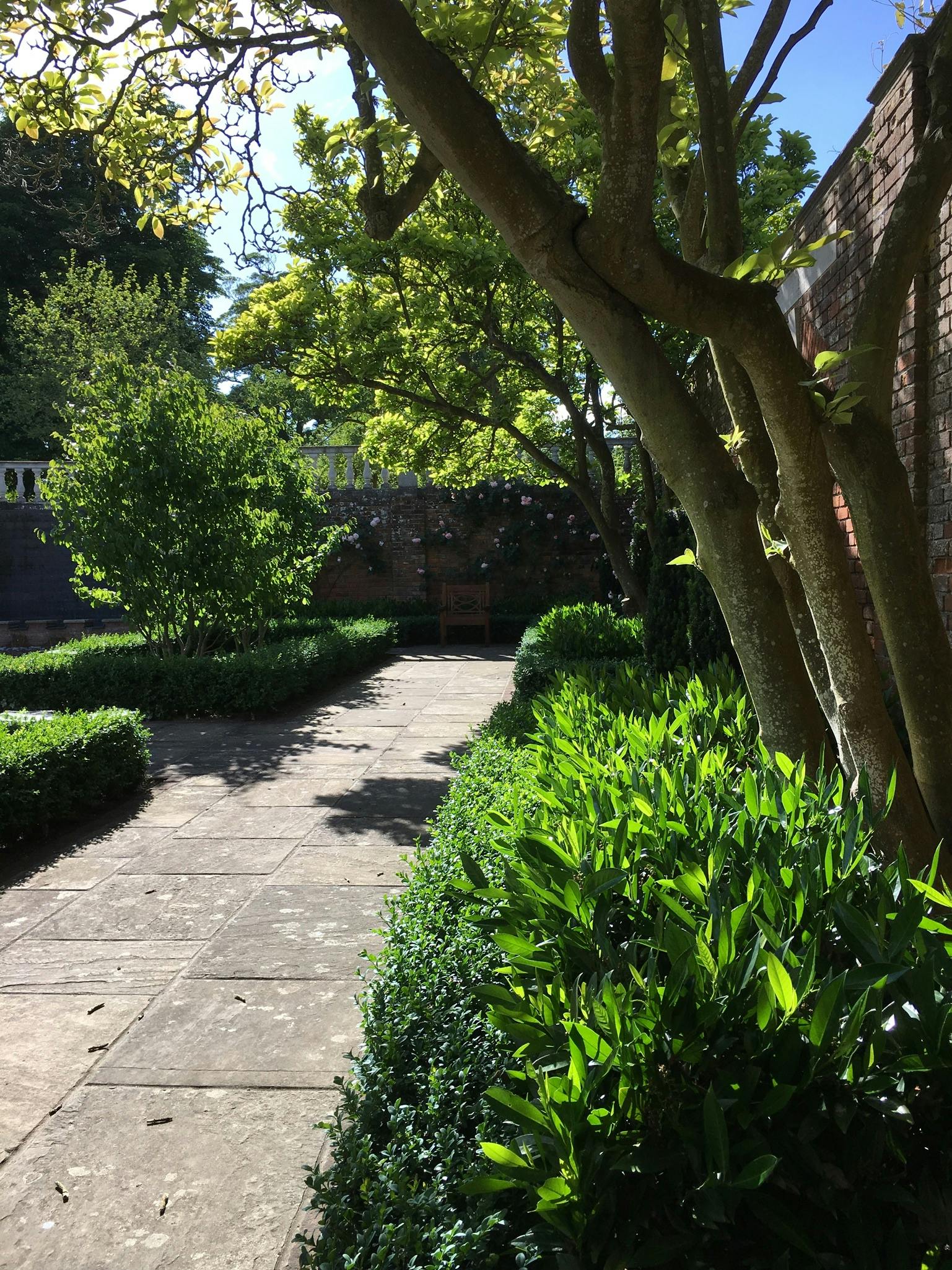 Free stock photo of garden, green, walled garden