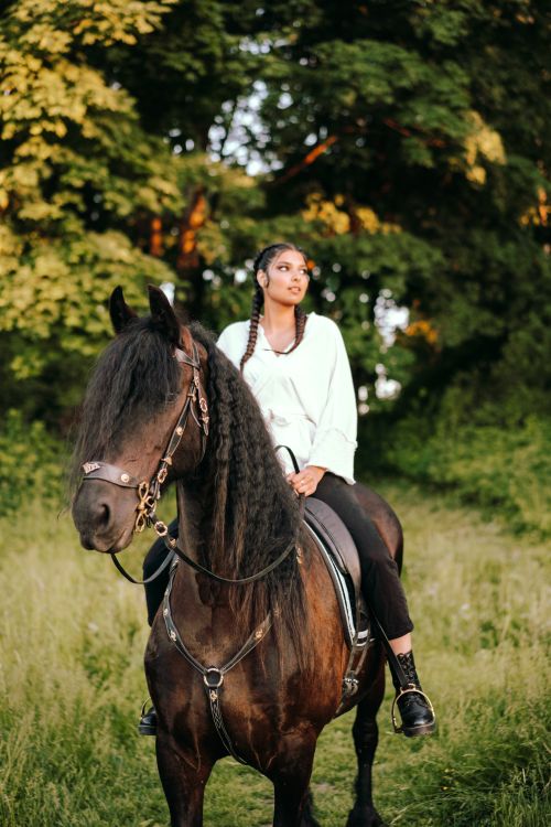 Free Woman sits on a horse with a lush forest backdrop, embracing nature and adventure. Stock Photo