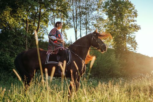 Free A woman enjoys horseback riding through a sunlit countryside field surrounded by trees. Stock Photo