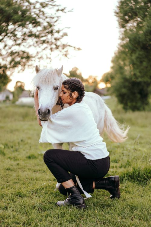 Free A woman with braided hair kneels to hug a white horse on a grassy countryside field. Stock Photo