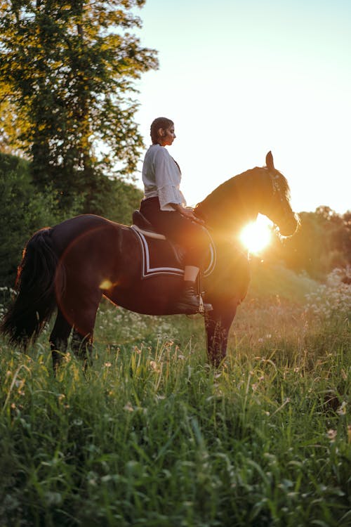 Woman Riding a Brown Horse