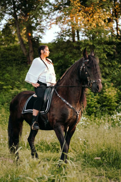 Free A woman sits gracefully on a black horse amidst lush greenery on a sunny day. Stock Photo