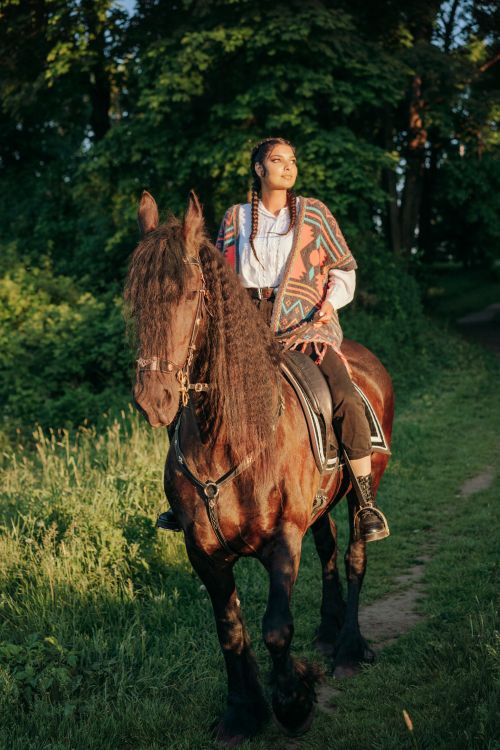 Free A woman riding a dark horse in a sunlit forest, capturing a serene moment. Stock Photo