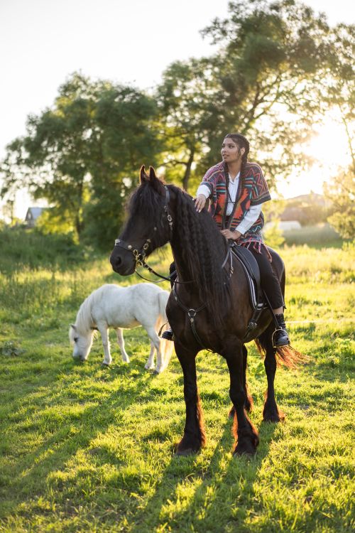 Free A woman rides a black horse in a sunlit field with another horse grazing nearby. Stock Photo