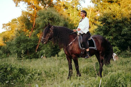 Free A woman riding a black horse through a serene green field surrounded by trees. Stock Photo