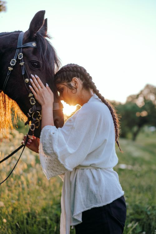 Free A woman gently embraces a horse in a tranquil outdoor setting at sunset, showcasing a deep connection. Stock Photo