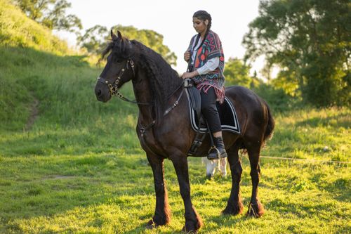 Free A woman rides a majestic Friesian horse through a lush, sunlit meadow, capturing the essence of equestrian elegance. Stock Photo