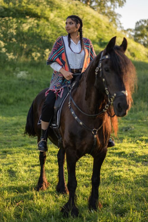 Free A woman riding a horse through a sunny green meadow, capturing a peaceful outdoor scene. Stock Photo