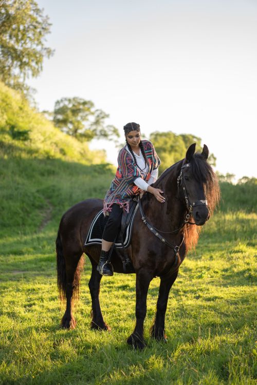 Free A woman riding a horse through a lush green meadow on a sunny day, showcasing the beauty of equestrian activities. Stock Photo
