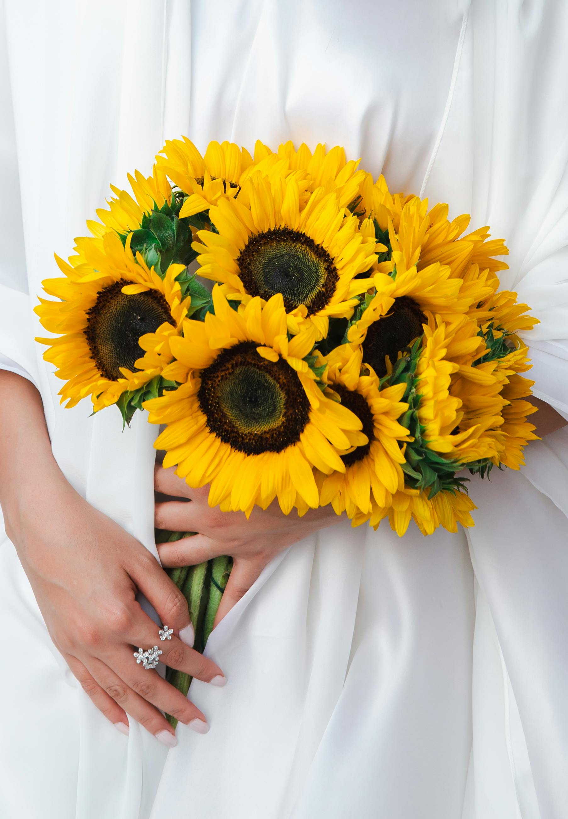 Chic composition of vibrant sunflowers held by a woman in a white dress, capturing elegance and beauty.