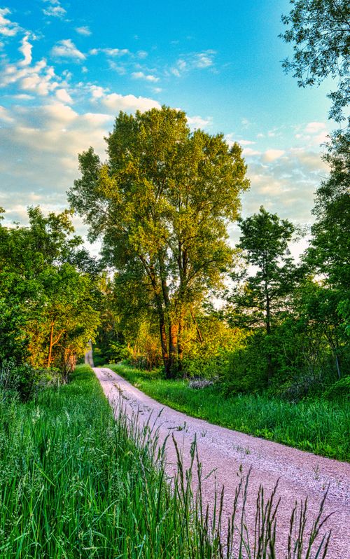 Free Discover tranquility on a summer dirt road in Elba, Minnesota's lush countryside. Stock Photo