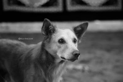 Plan de evacuare pe perete