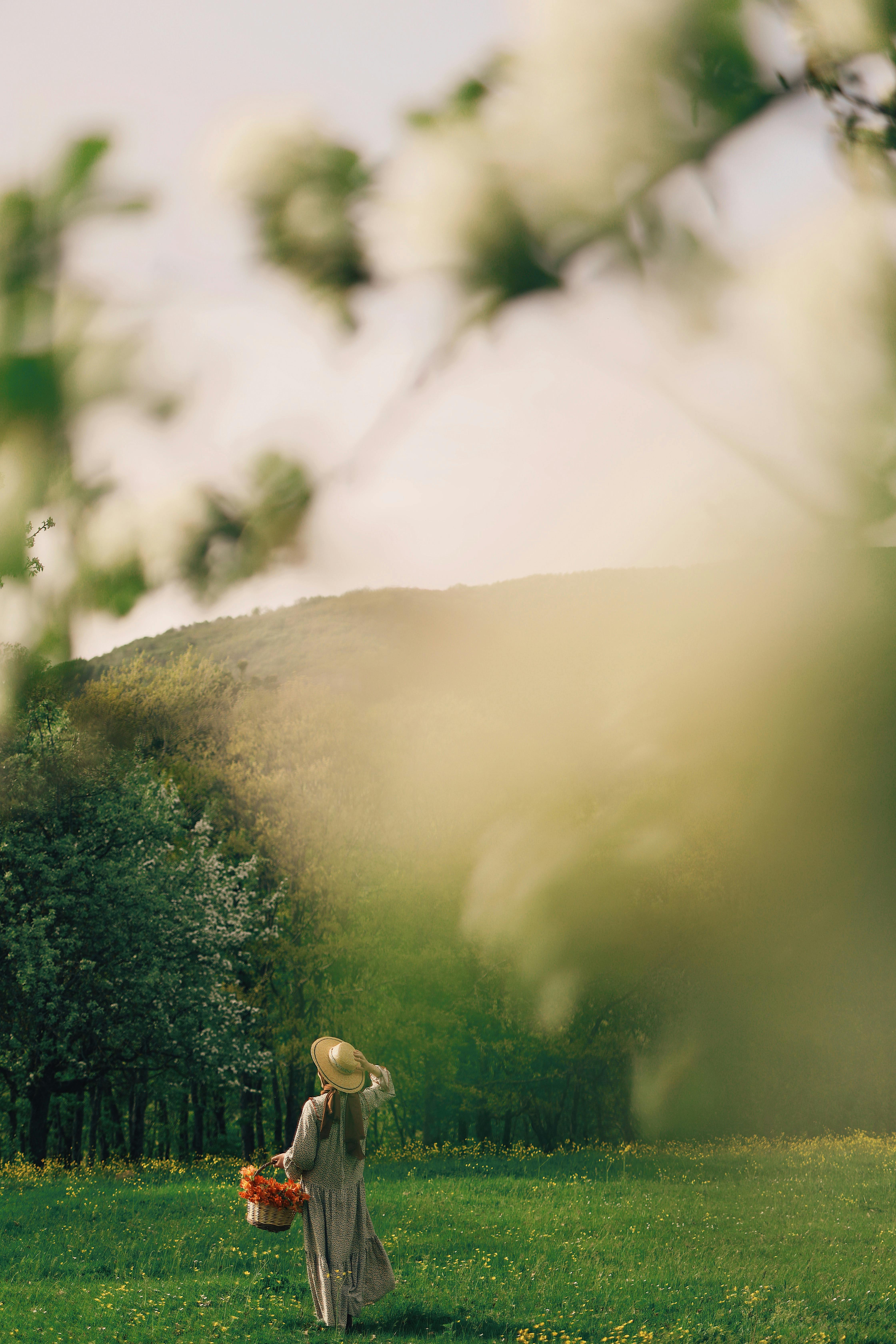 A serene scene of a woman holding a basket, strolling through a blooming field in spring.
