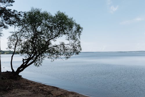 Fotos de stock gratuitas de cielo limpio, costa, fondo de pantalla