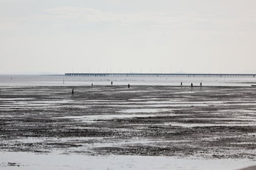 Kostnadsfri bild av hav, havsområde, havsstrand