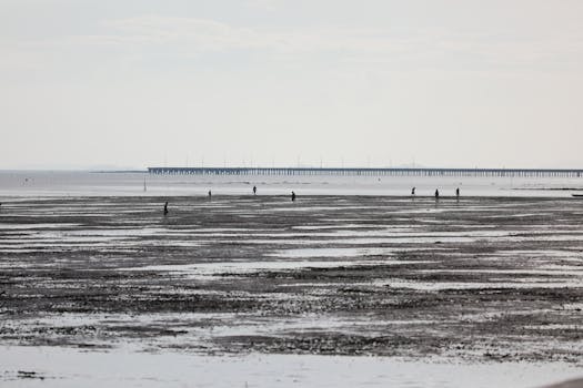 A tranquil beach at low tide with silhouettes of people and long pier in the distance under a soft sunset glow.