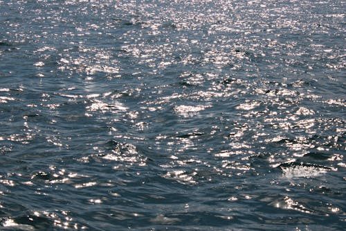 Gratis stockfoto met blauwe zee, gouden zonsondergang, h2o