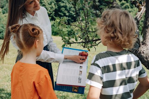 Free A woman teaching children about apples in a garden, engaging in outdoor education. Stock Photo