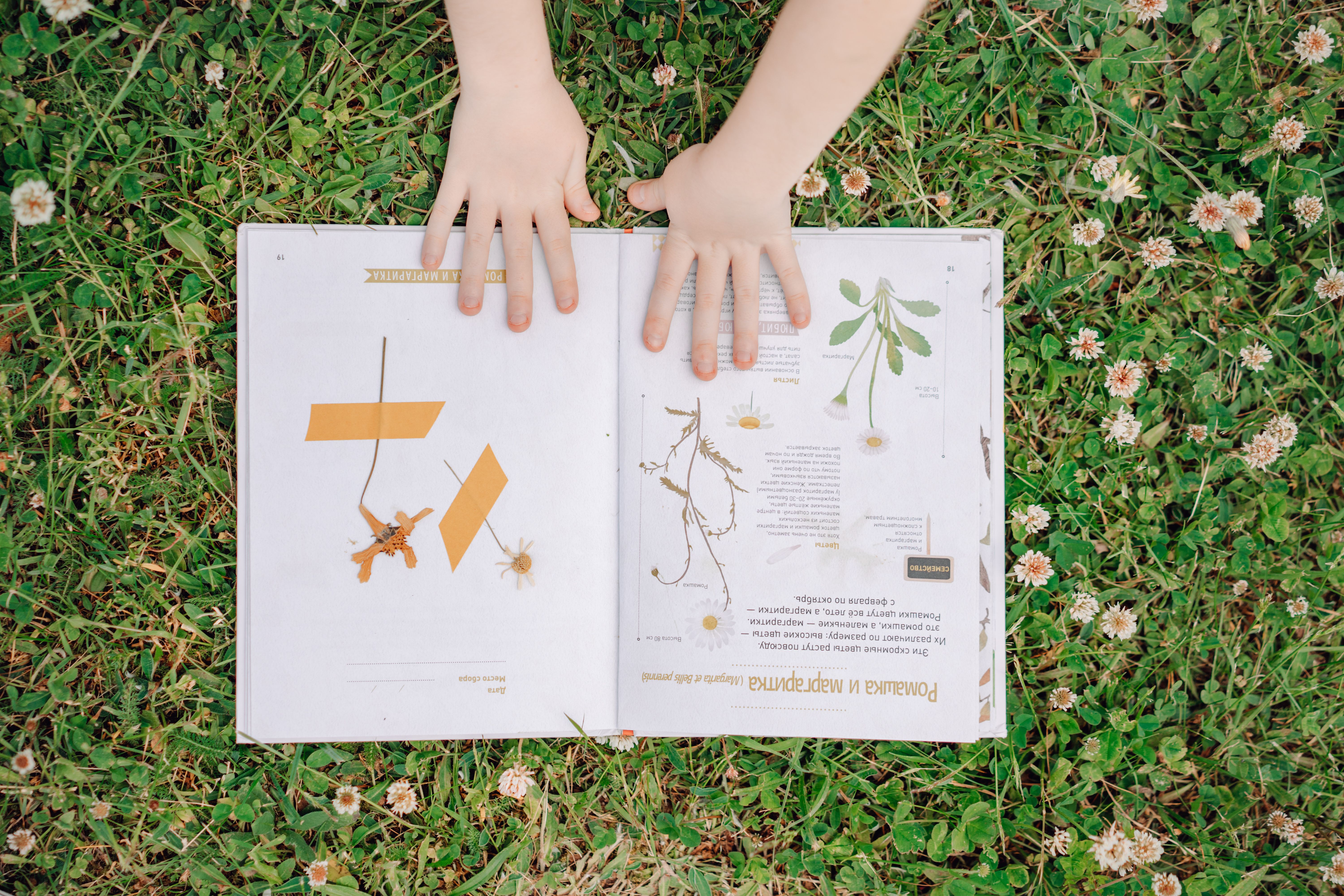 Unschooling Science: Exploring Nature Walks, Experiments, and Curiosity-Driven Questions