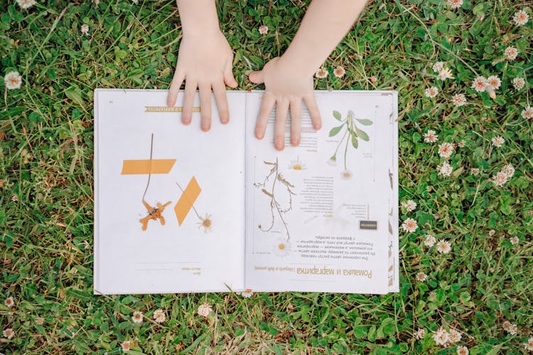 A Childs Hand On A Book With Pictures Of Flowers