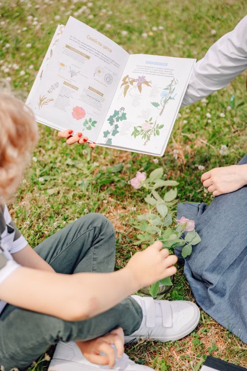 Free A child and adult reading a book about plants outdoors on a sunny day. Stock Photo