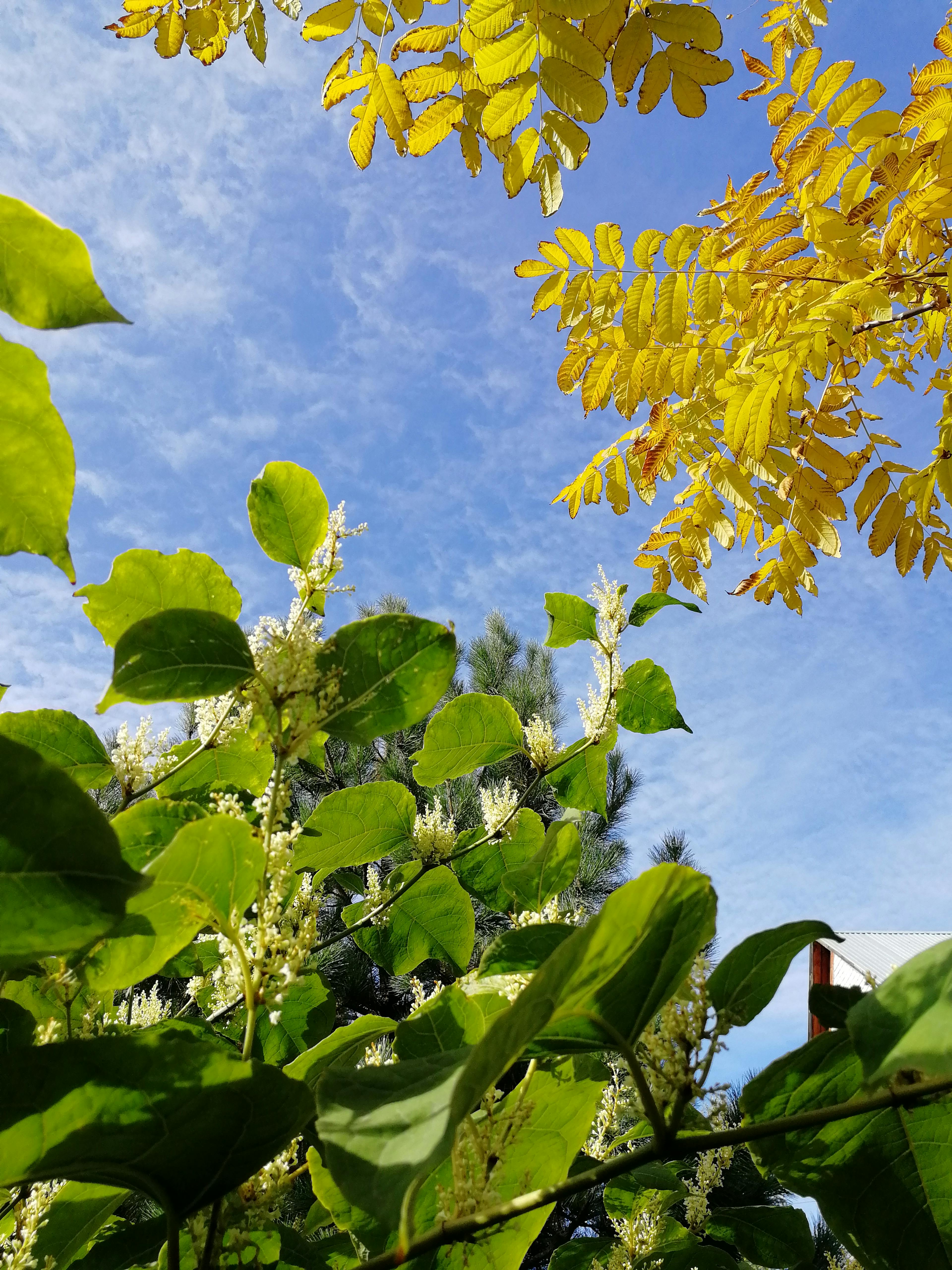 Child working with therapist in a calming environment