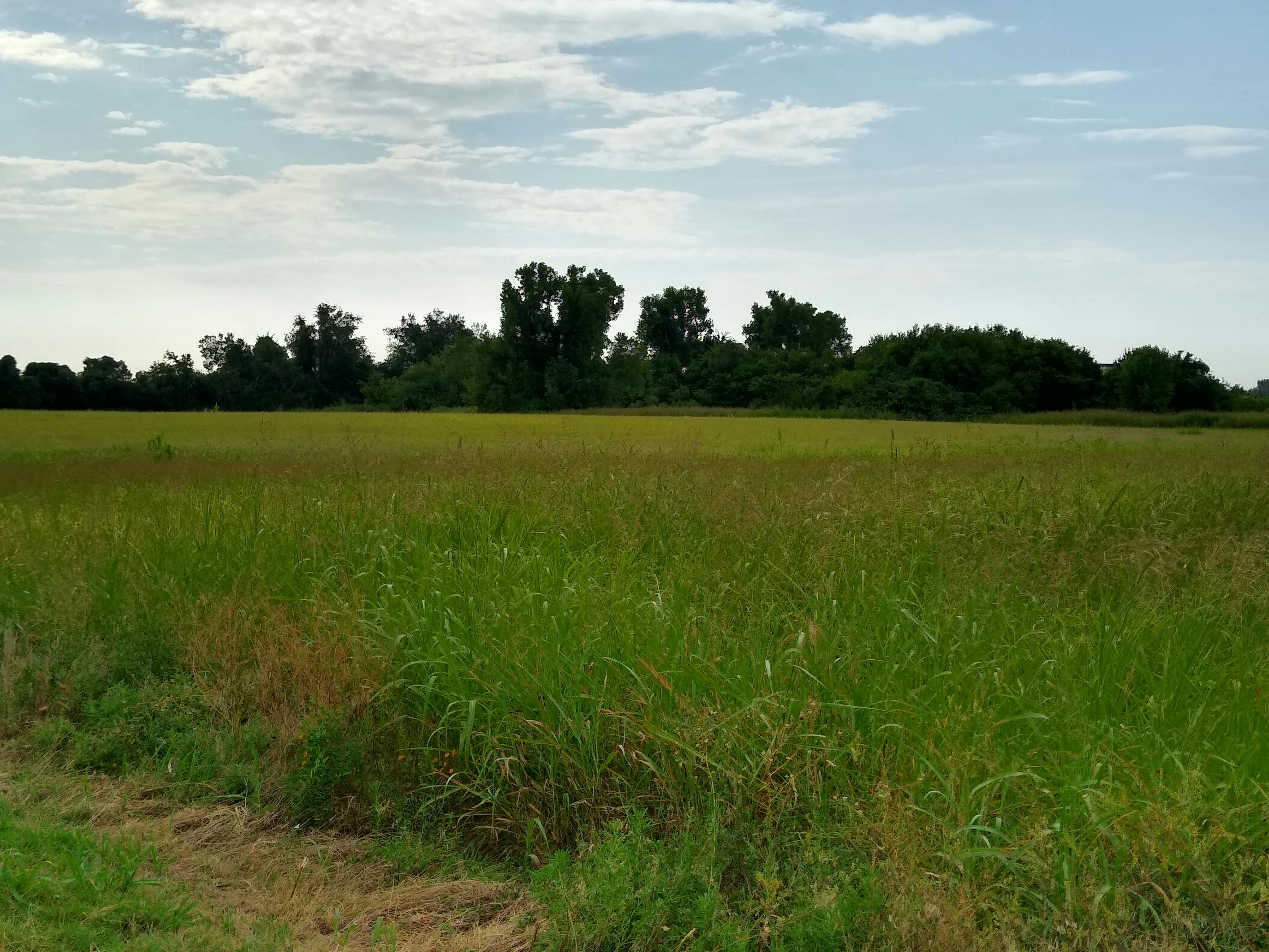 Family support and connection