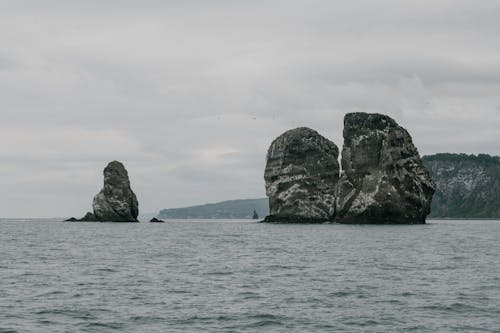 Fotobanka s bezplatnými fotkami na tému čierny a biely, fotografie v odtieňoch sivej, kamchatka