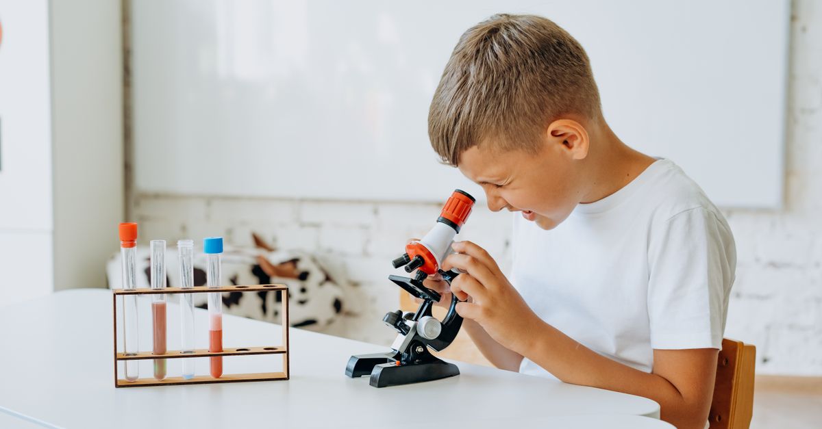 Understanding the Scientific Method: A Comprehensive Guide