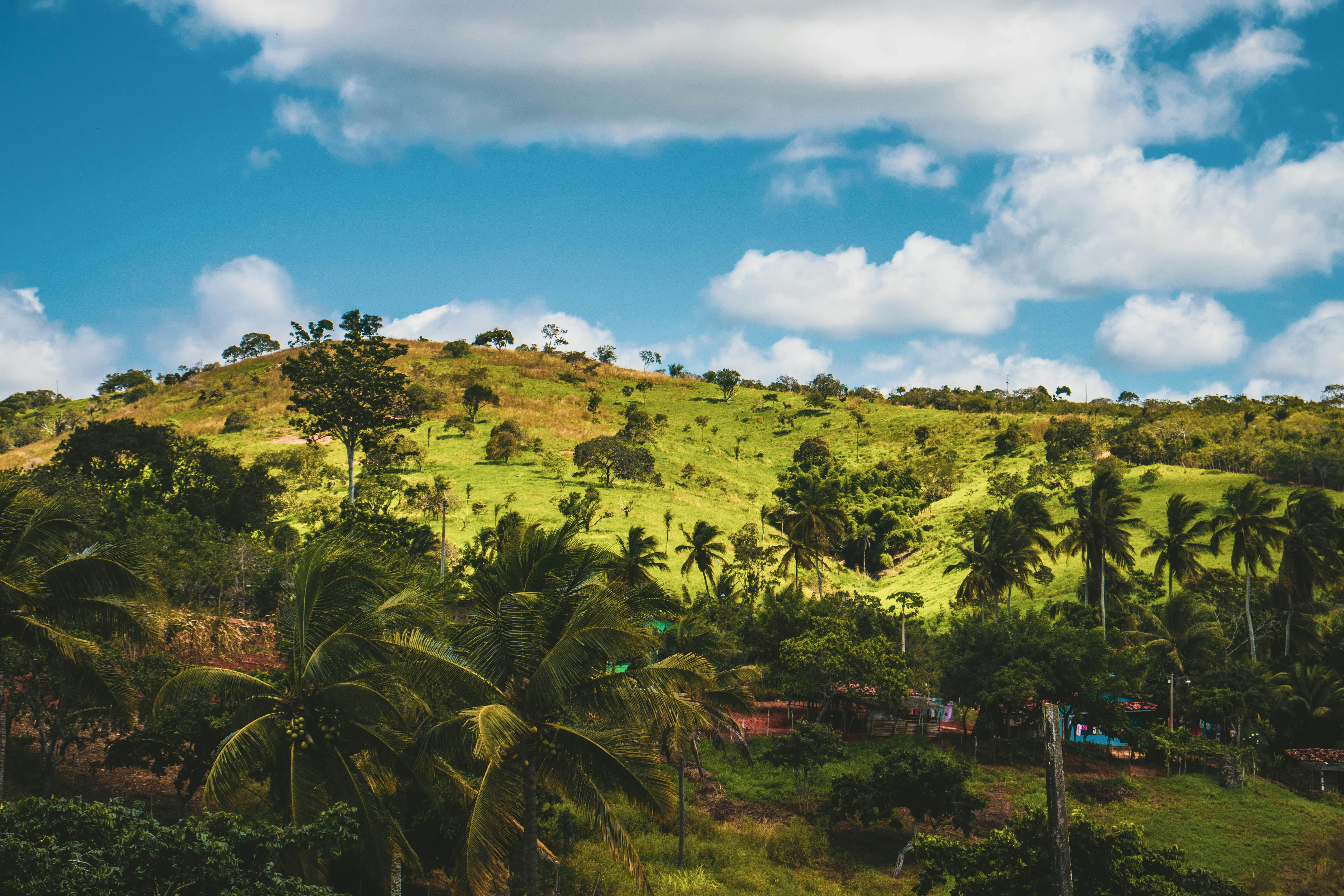 Free Images : green, mountain, vegetation, tropical and