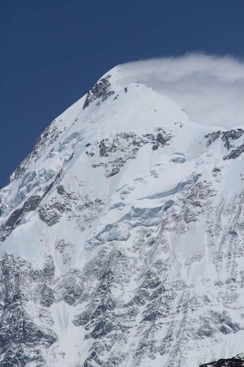 Imagine de stoc gratuită din acoperit de zăpadă, fotografiere verticală, iarnă