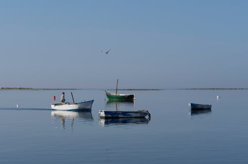 Foto d'estoc gratuïta de aigua, barques, cel blau