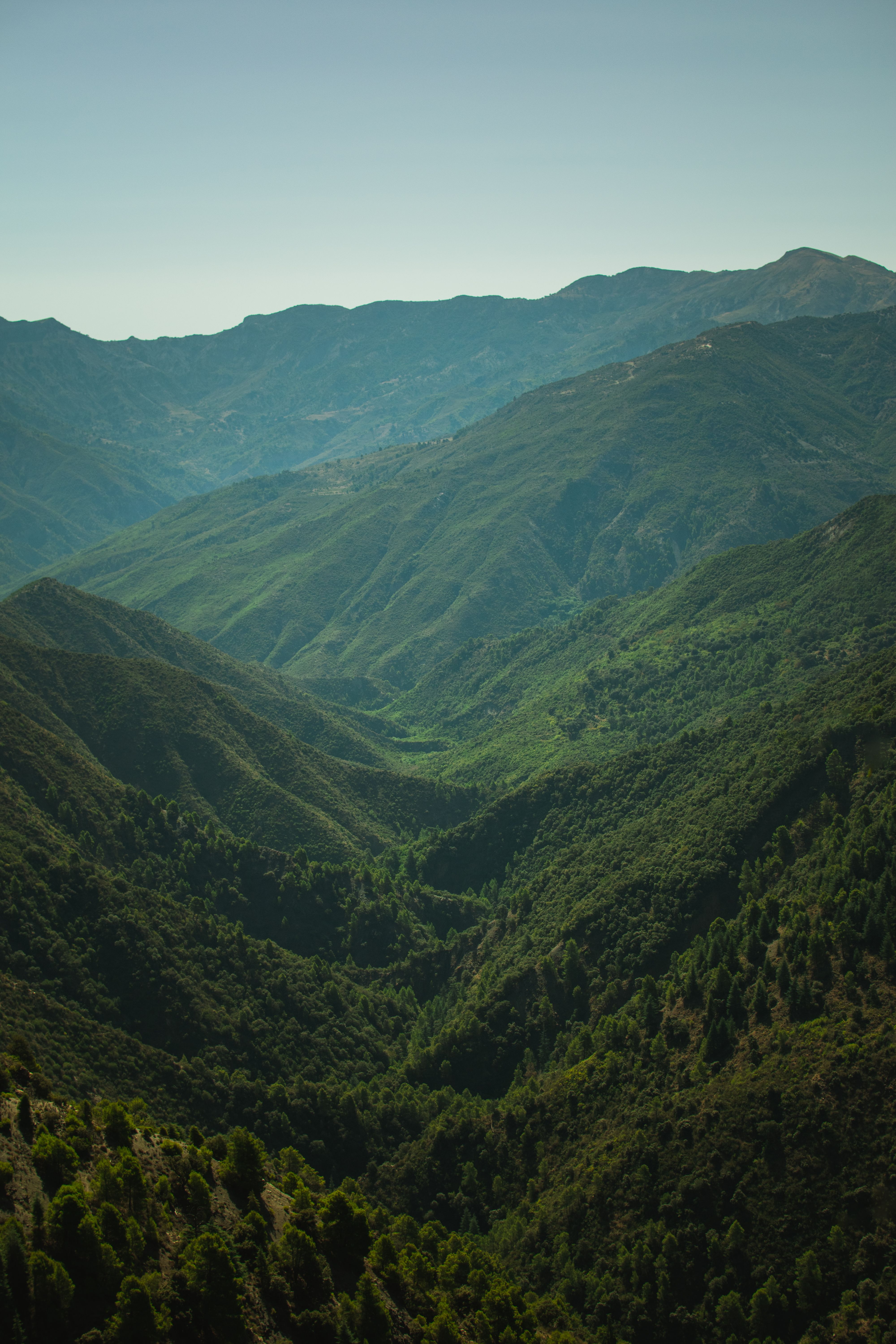 Green Mountains Under the Blue Sky · Free Stock Photo