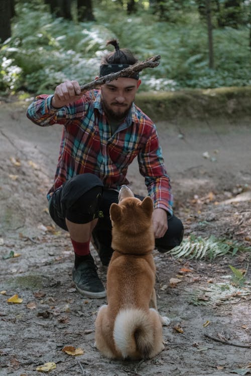 Free Photo of a Man in a Plaid Shirt Playing with His Brown Dog Stock Photo