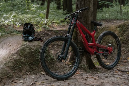 Red Downhill Mountain Bike Put Against a Tree