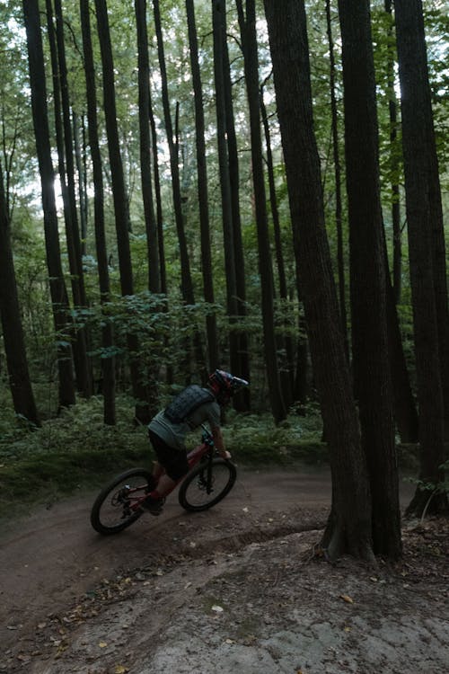 Free A Person Riding a Mountain Bike in the Woods Stock Photo