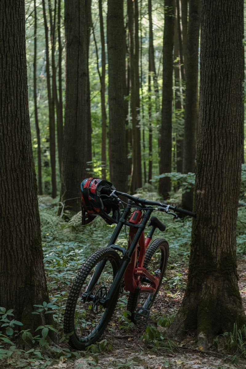 Mountain bike and helmet resting in a forest