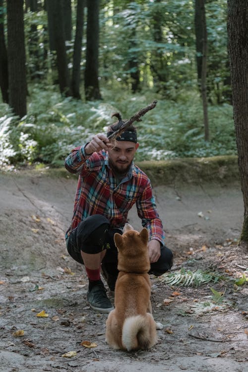 Free Photo of a Man Using a Stick to Play with His Dog Stock Photo