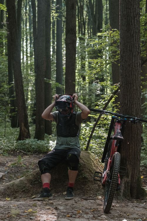 Free A cyclist in a forest adjusts their helmet, surrounded by towering trees. Stock Photo