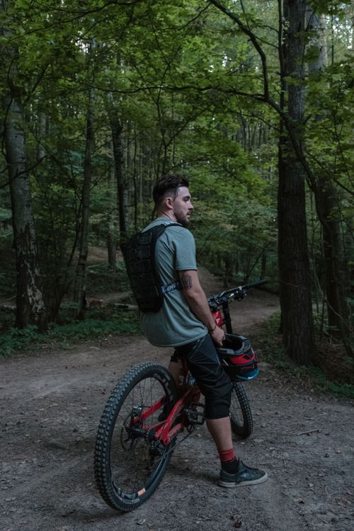 Free Man with mountain bike pausing on a forest trail amid lush greenery. Adventure awaits. Stock Photo