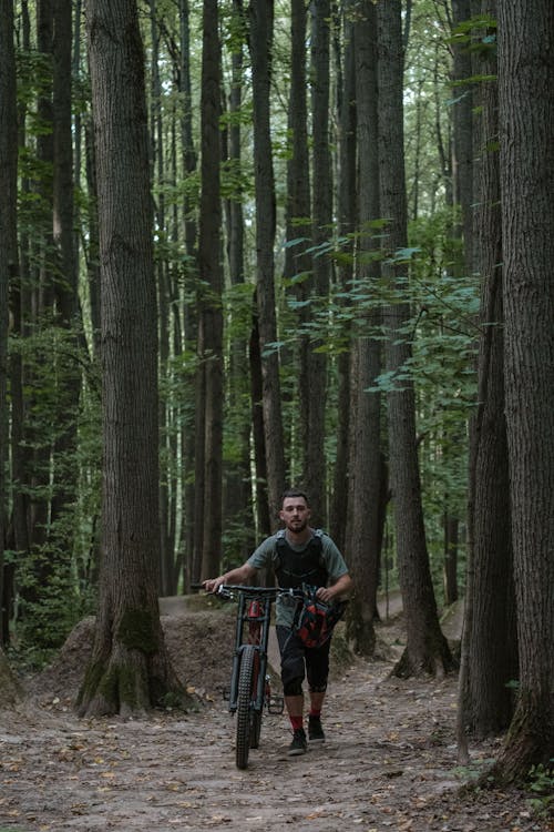 Foto profissional grátis de andando, árvores, bicicleta